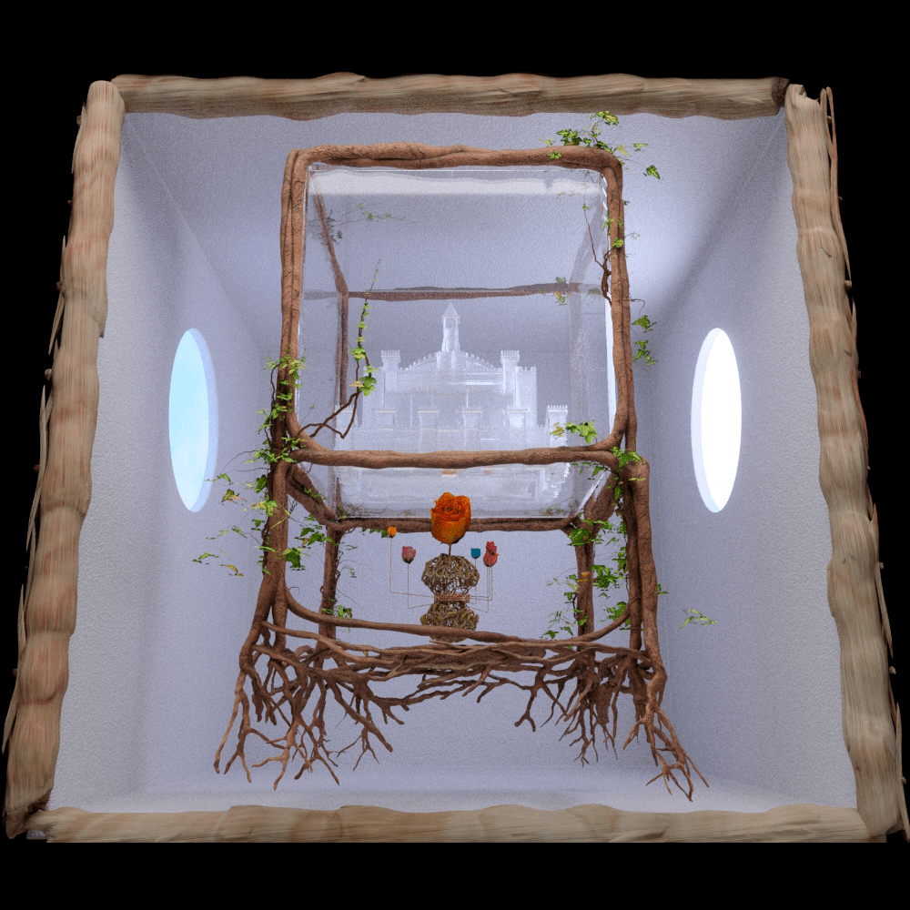 Transformation Launch